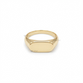 Elongated Oval Signet Ring Modern Plain Face Signet Pinky Band for Women & Men