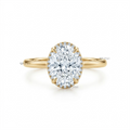 Oval Cut Diamond Hidden Halo Engagement Ring